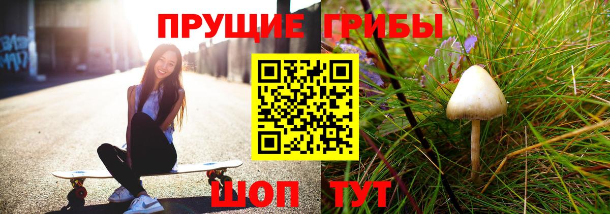 Северск  Псилоцибиновые грибы MAGIC MUSHROOMS  Вход с VPN 