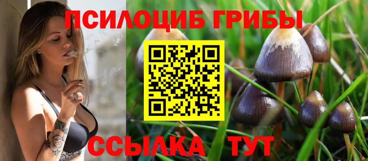 Псилоцибиновые грибы ЛСД Северск